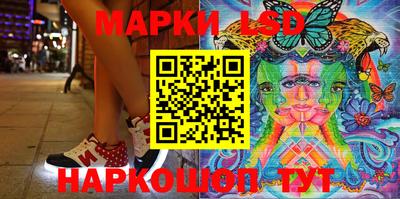 СК Кингисепп