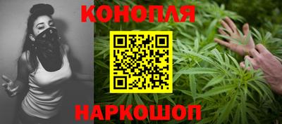 СК Кингисепп