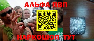 СК Кингисепп