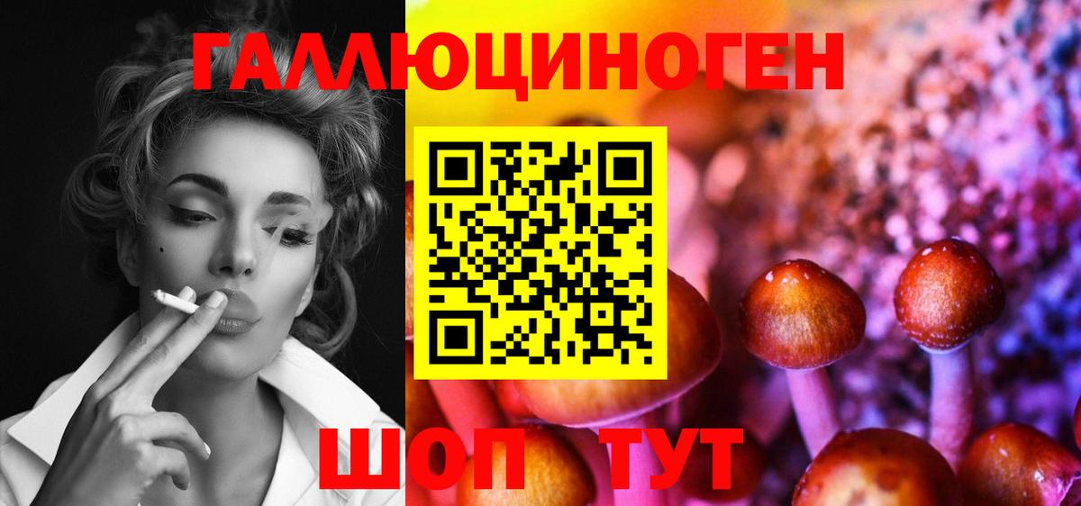 где продают   Вход с VPN  Вологда  Галлюциногенные грибы MAGIC MUSHROOMS 