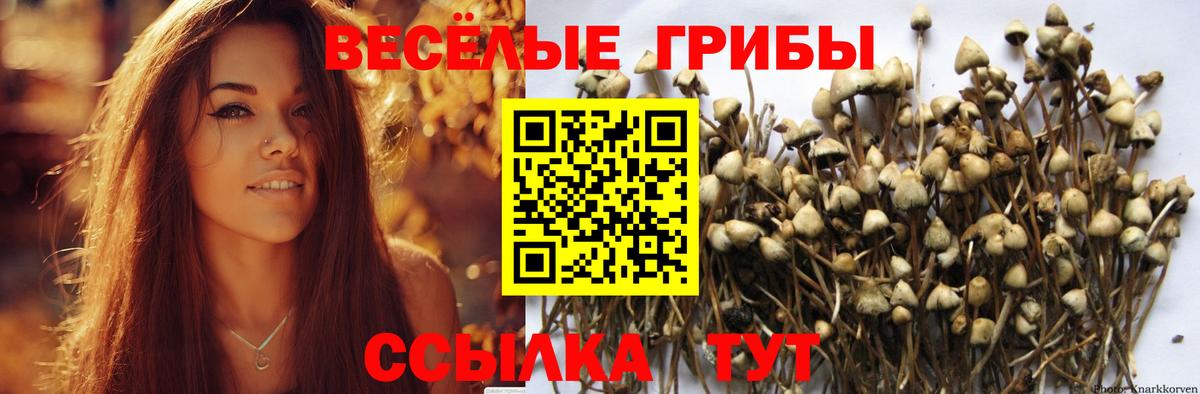 Галлюциногенные грибы Magic Shrooms Вологда
